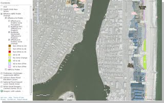 An example of a Changes Since Last FIRM dataset showing changes between preliminary Flood Insurance Rate Map (FIRM) and effective FIRM flood data as shown on a computer screen.